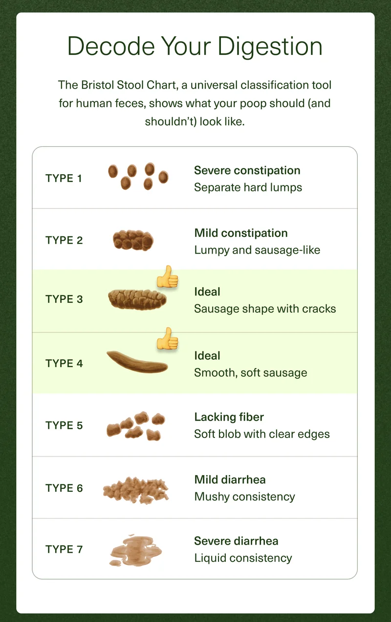 Decode Your Digestion The Bristol Stool Chart, a universal classification tool for human feces, shows what your poop should (and shouldn’t) look like. Type 1 Severe constipation Separate hard lumps Type 2 Mild constipation Lumpy and sausage-like Type 3 Ideal Sausage shape with cracks Type 4 Ideal Smooth, soft sausage Type 5 Lacking fiber Soft blob with clear edges Type 6 Mild diarrhea Mushy consistency Type 7 Severe diarrhea Liquid consistency