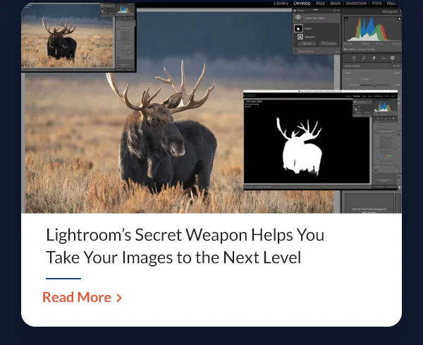 Lightroom’s Secret Weapon Helps You Take Your Images to the Next Level