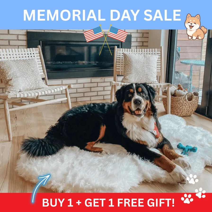PupRug