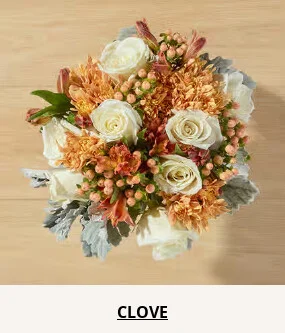 Double Your Blooms For Free