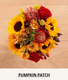 Double Your Blooms For Free