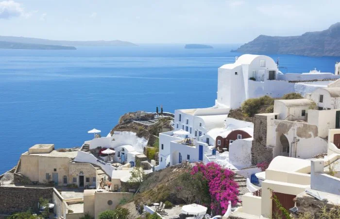 Click to View Cruises & Book Now Click to View Cruises & Book Now