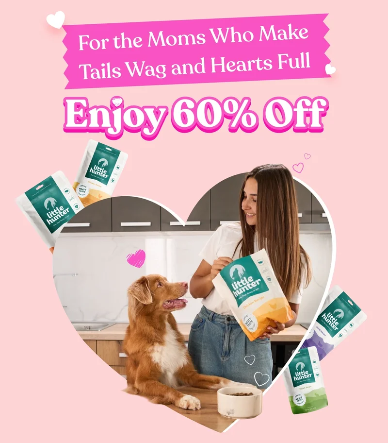 Enjoy 60% Off!