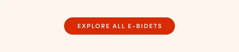 EXPLORE ALL E-BIDETS