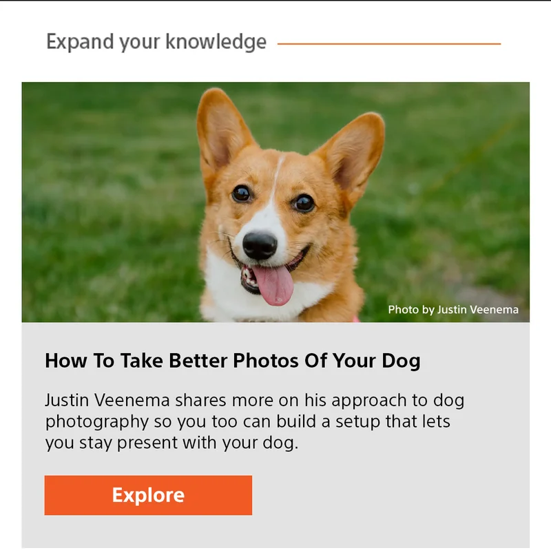 Expand your knowledge How To Take Better Photos Of Your Dog Justin Veenema shares more on his approach to dog photography so you too can build a setup that lets you stay present with your dog. Explore