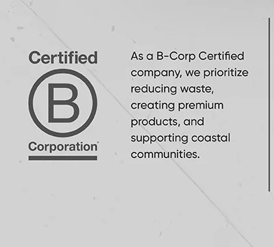 Our Company