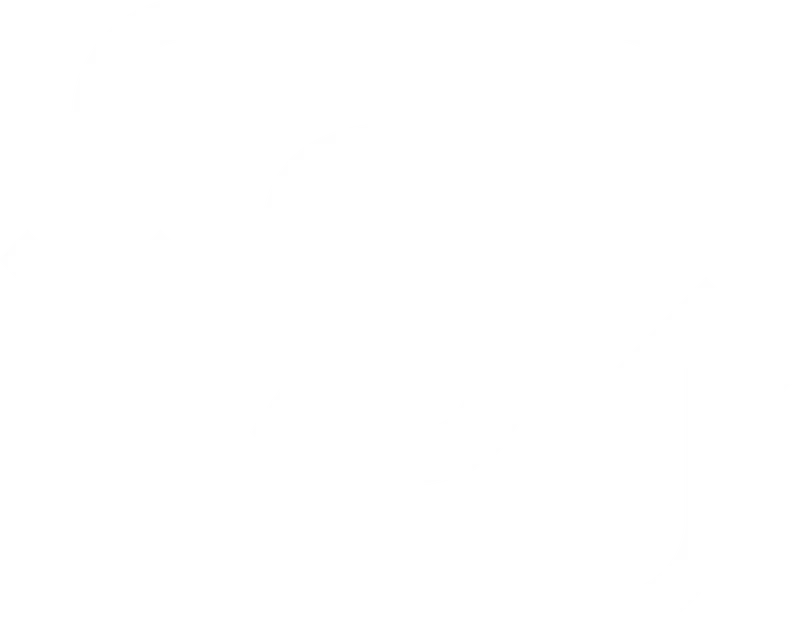 Financing