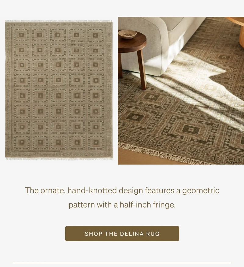 Shop Delina Rug