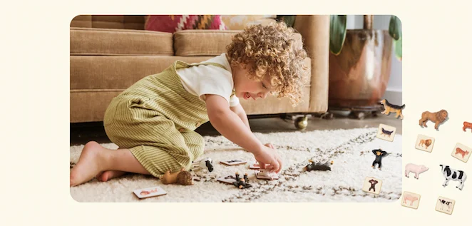 Montessori Animal Match Game