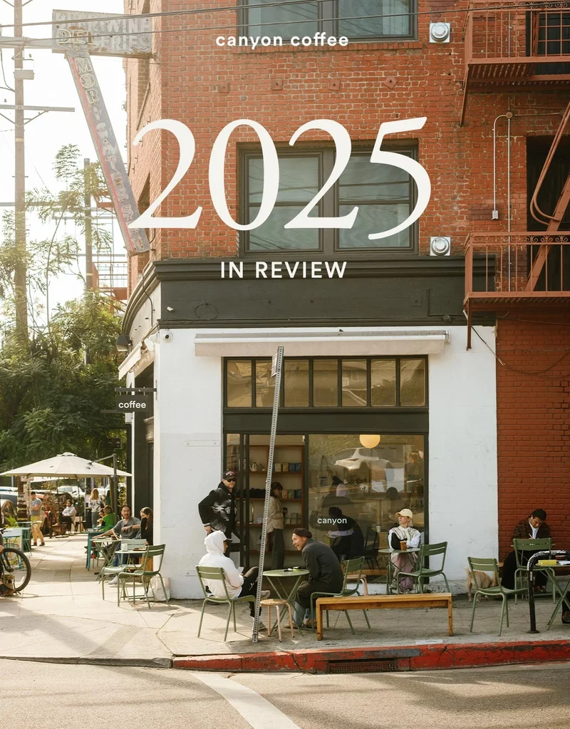 2024 in review
