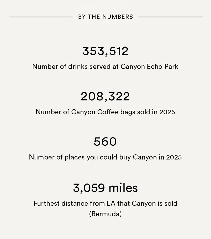 2024 in review