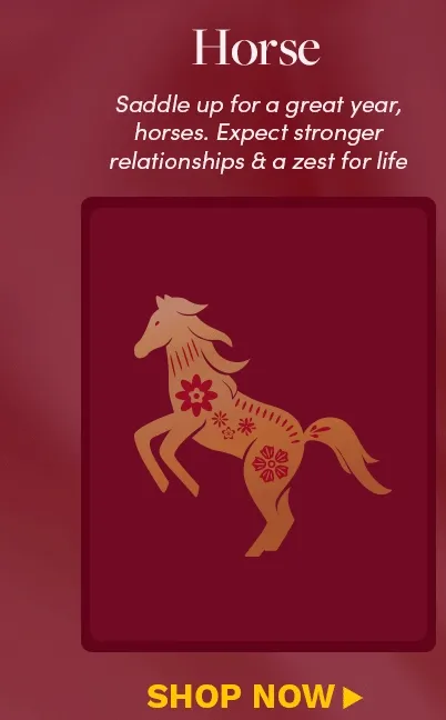Find your Match