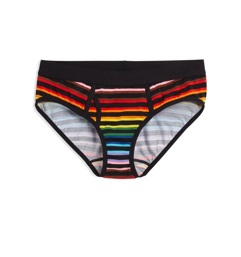 Image of Iconic Briefs - Progress Pride Stripes