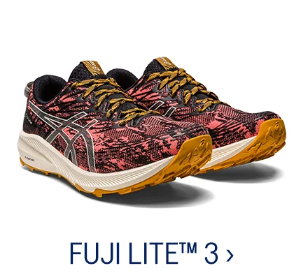 FUJI LITE 3