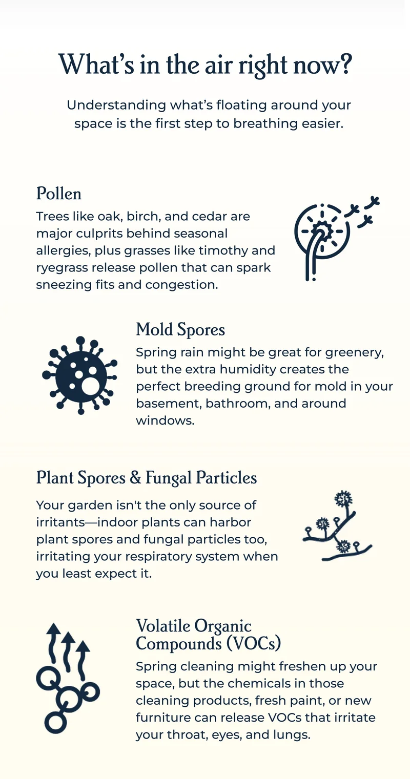 What’s in the air right now? Understanding what’s floating around your space is the first step to breathing easier.