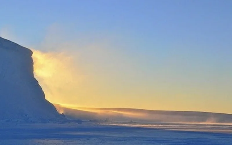 Nat Geo Yule Log