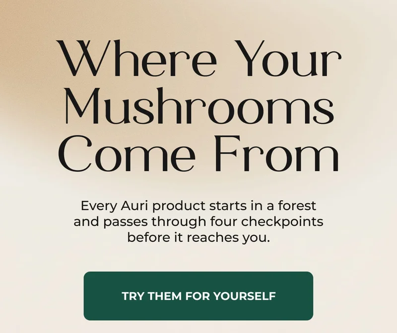 Where Your Mushrooms Come From