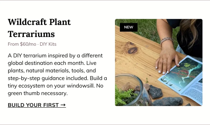 Wildcraft Plant Terrariums - Mystery DIY Subscription Box