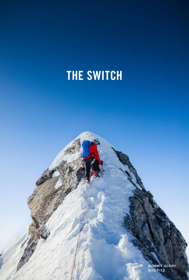 THE SWITCH