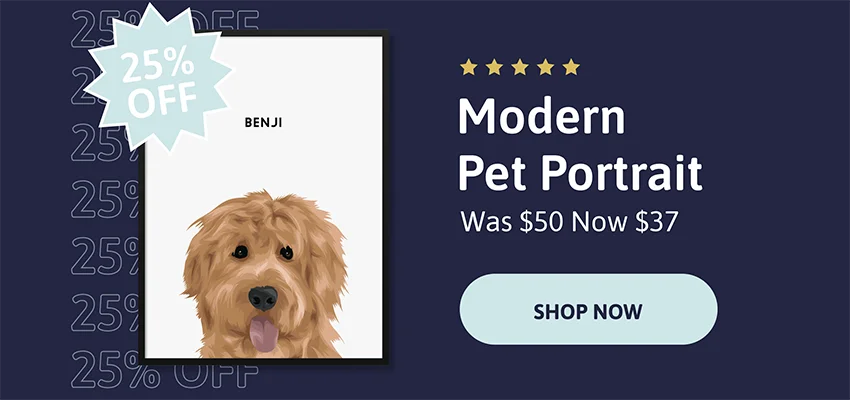 Modern Pet Portrait. Was $50. Now $37