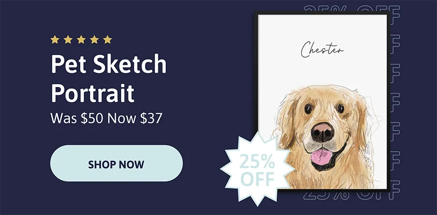 Pet Sketch Portrait. Was $50. Now $37