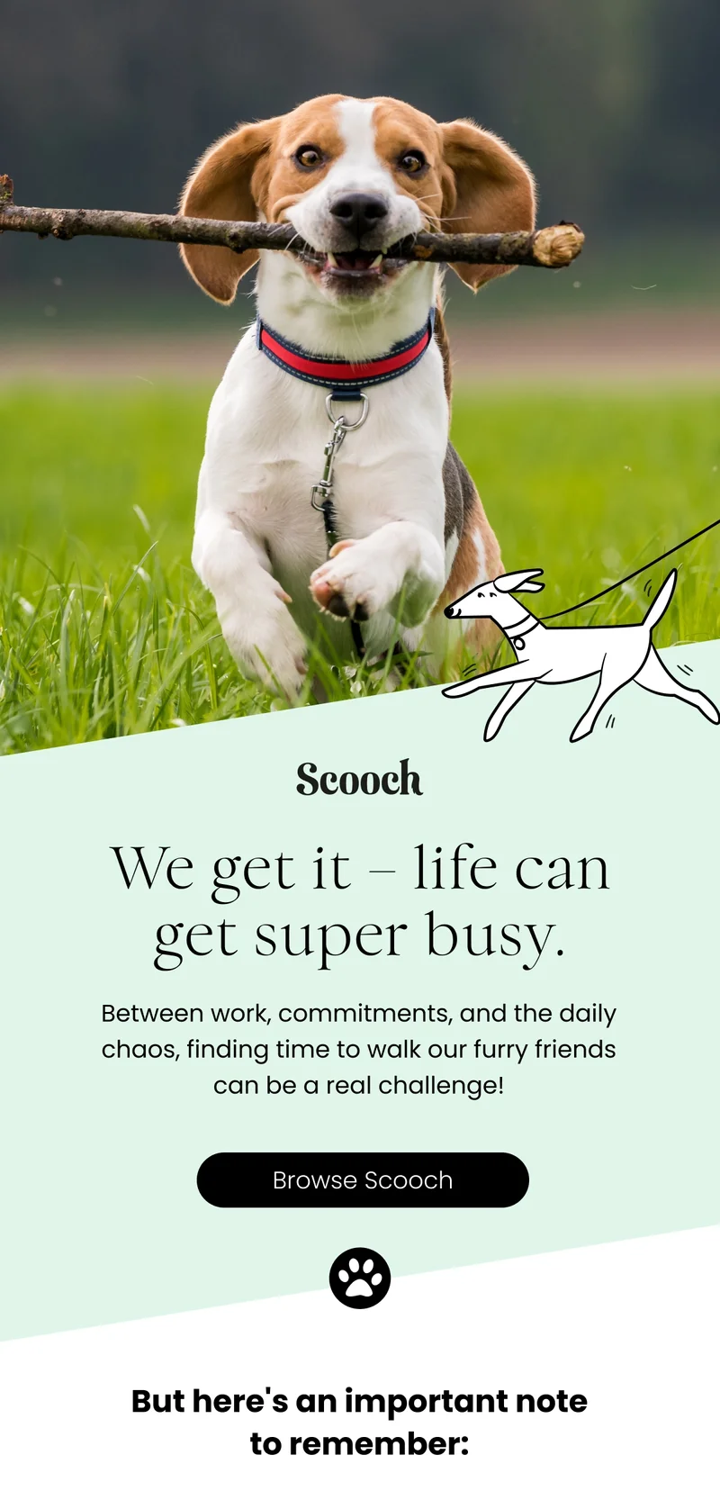 Browse Scooch