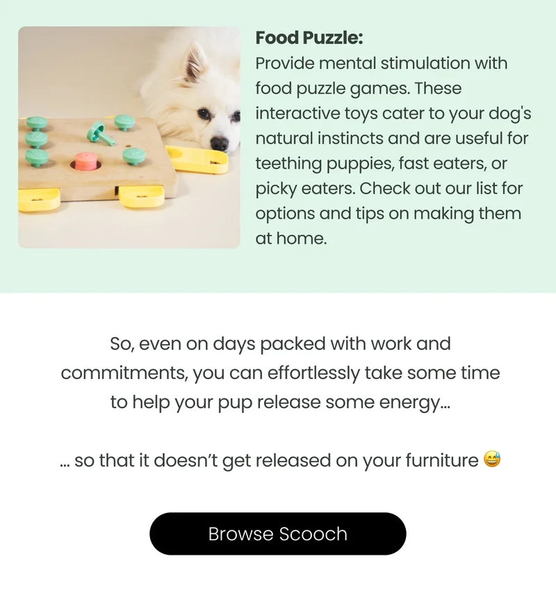 Browse Scooch