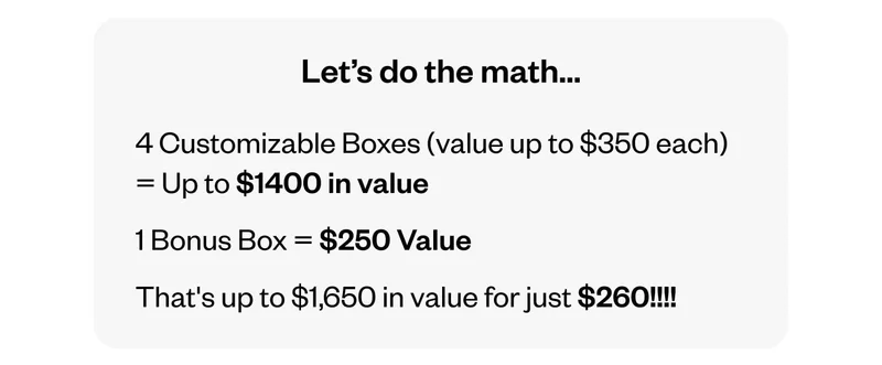 4 Customizable Boxes (value up to $350 each) = Up to $1400 in value | 1 Bonus Box = $250 Value | That's up to $1,650 in value for just $260!!!!