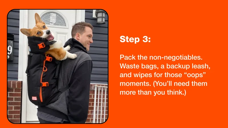 Pack the non-negotiables.
