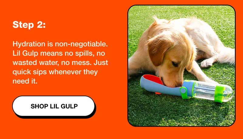 Shop Lil Gulp