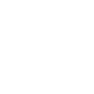Premium built-in stylus icon