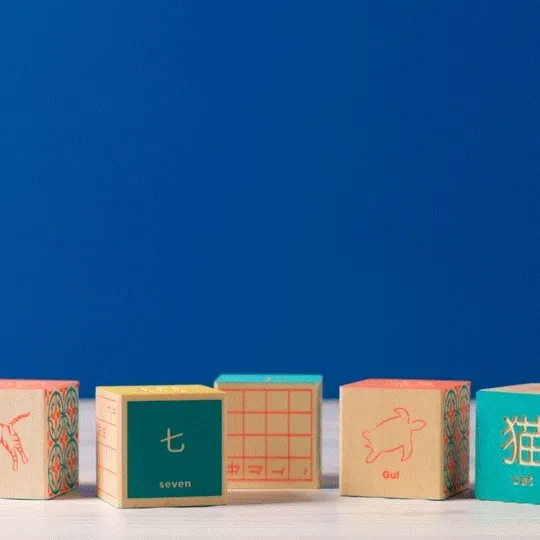 Foreign Language Blocks