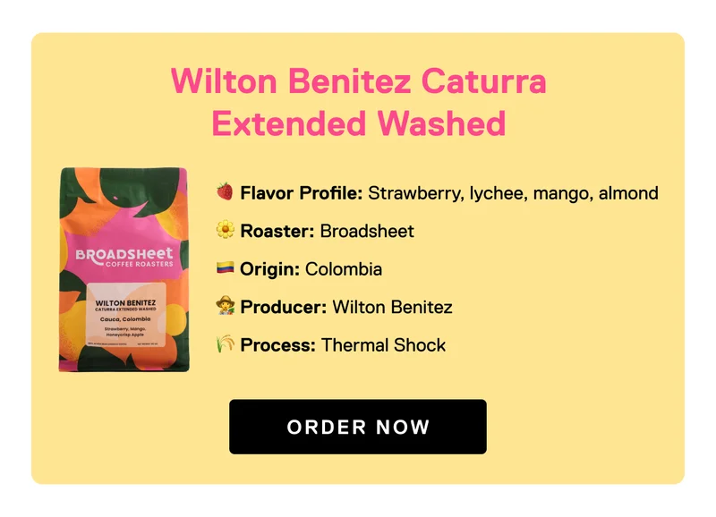 Limited Release: Caturra Extended Washed