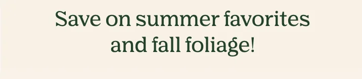 save on summer and fall favorites!