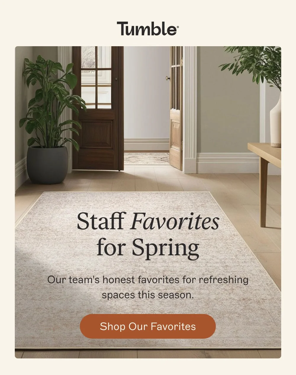 [ SHOP OUR FAVORITES ]