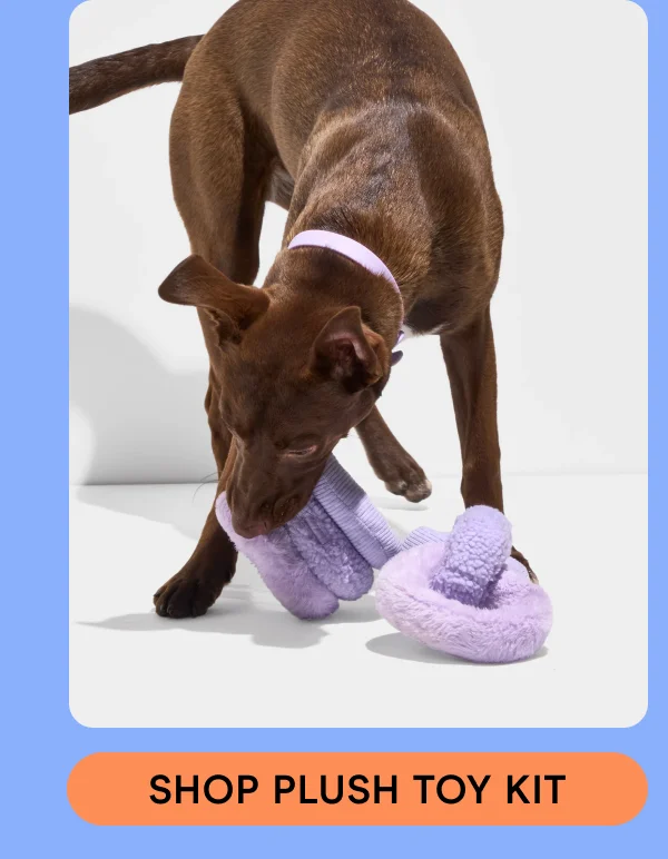 SHOP PLUSH TOY KIT