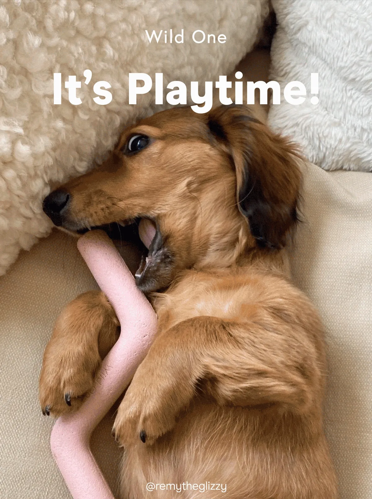 It’s Playtime!