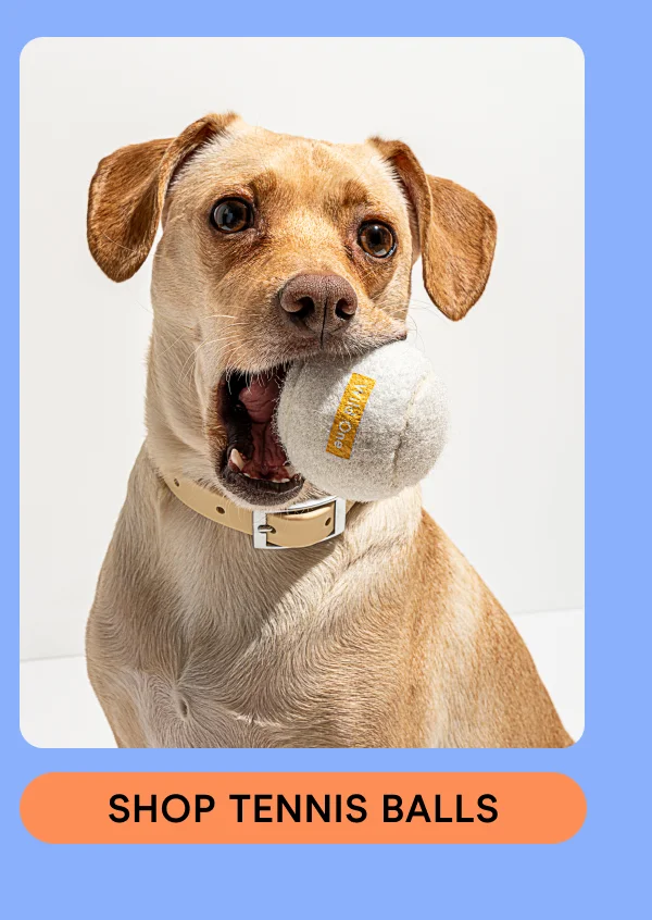 SHOP TENNIS BALLS