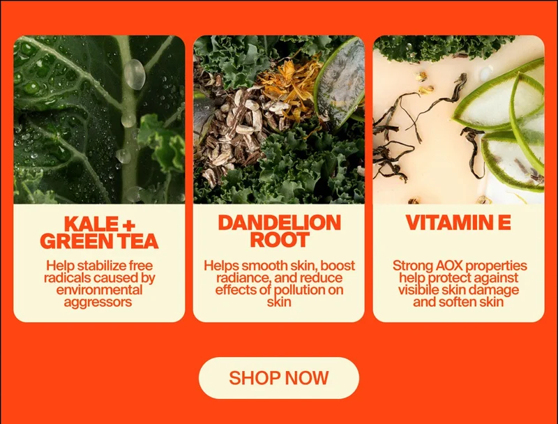 SHOP NOW