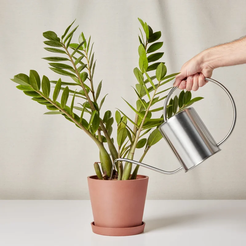 watering can