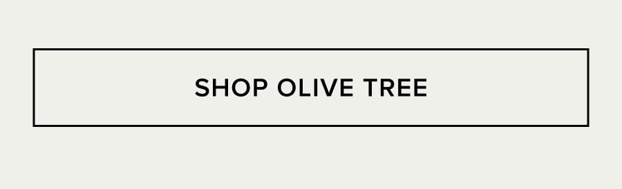 SHOP OLIVE TREE