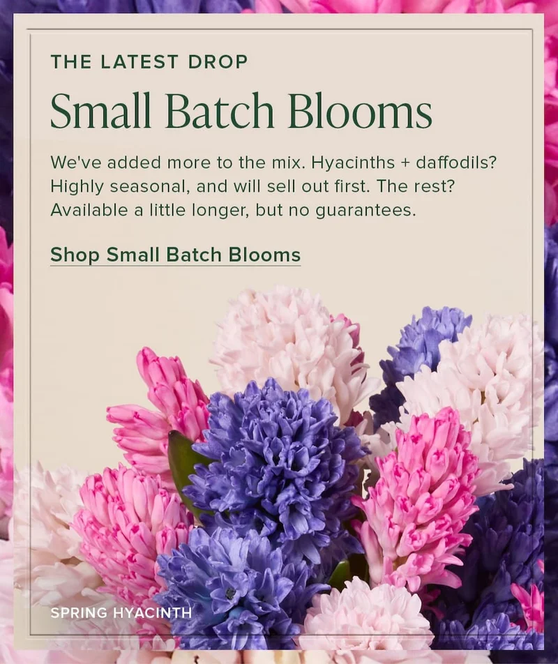 The Latest Drop: Small Batch Blooms. We've added more to the mix. Hyacinths + daffodils? Highly seasonal, and will sell out first. The rest? Available a little longer, but no guarantees. Shop Small Batch Blooms