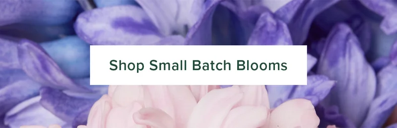 Shop Small Batch Blooms