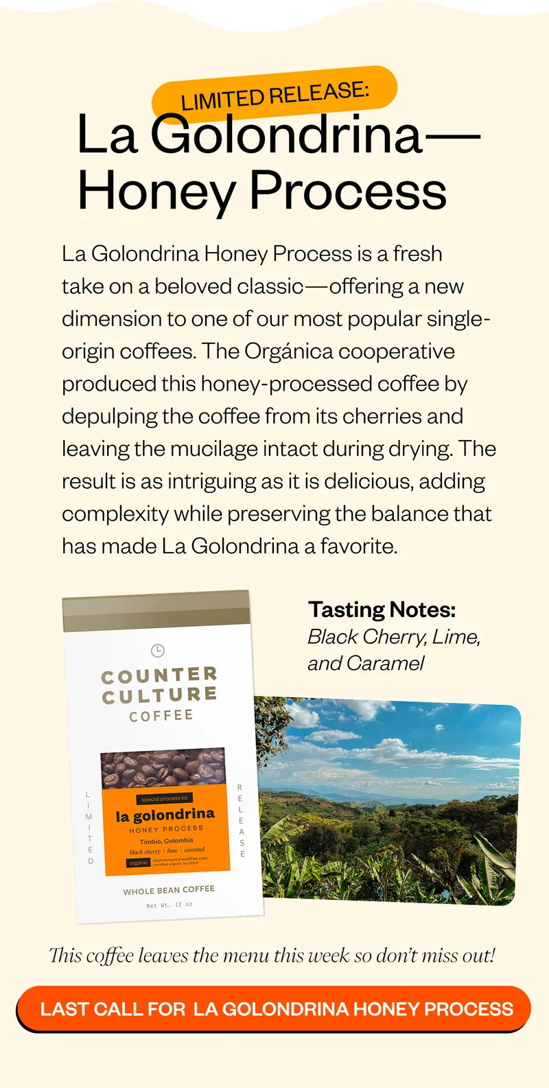 Limited Release: La Golondrina – Honey Process La Golondrina Honey is a fresh take on a beloved classic—offering a new dimension to one of our most popular single-origin coffees. The Orgánica cooperative produced this honey-processed coffee by depulping the coffee from its cherries and leaving the mucilage intact during drying. The result is as intriguing as it is delicious, adding complexity while preserving the balance that has made La Golondrina a favorite. Tasting Notes: Black Cherry, Lime, and Caramel. This coffee leaves the menu this week so don't miss out! Last call for La Golondrina Honey Process Limited Release: La Golondrina – Honey Process La Golondrina Honey is a fresh take on a beloved classic—offering a new dimension to one of our most popular single-origin coffees. The Orgánica cooperative produced this honey-processed coffee by depulping the coffee from its cherries and leaving the mucilage intact during drying. The result is as intriguing as it is delicious, adding complexity while preserving the balance that has made La Golondrina a favorite. Tasting Notes: Black Cherry, Lime, and Caramel. This coffee leaves the menu this week so don't miss out! Last call for La Golondrina Honey Process