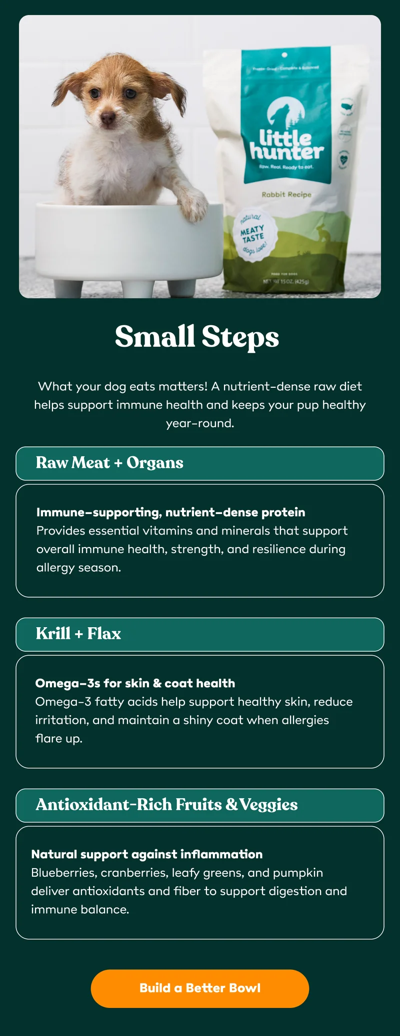 Build a bowl to support your dogs health.
