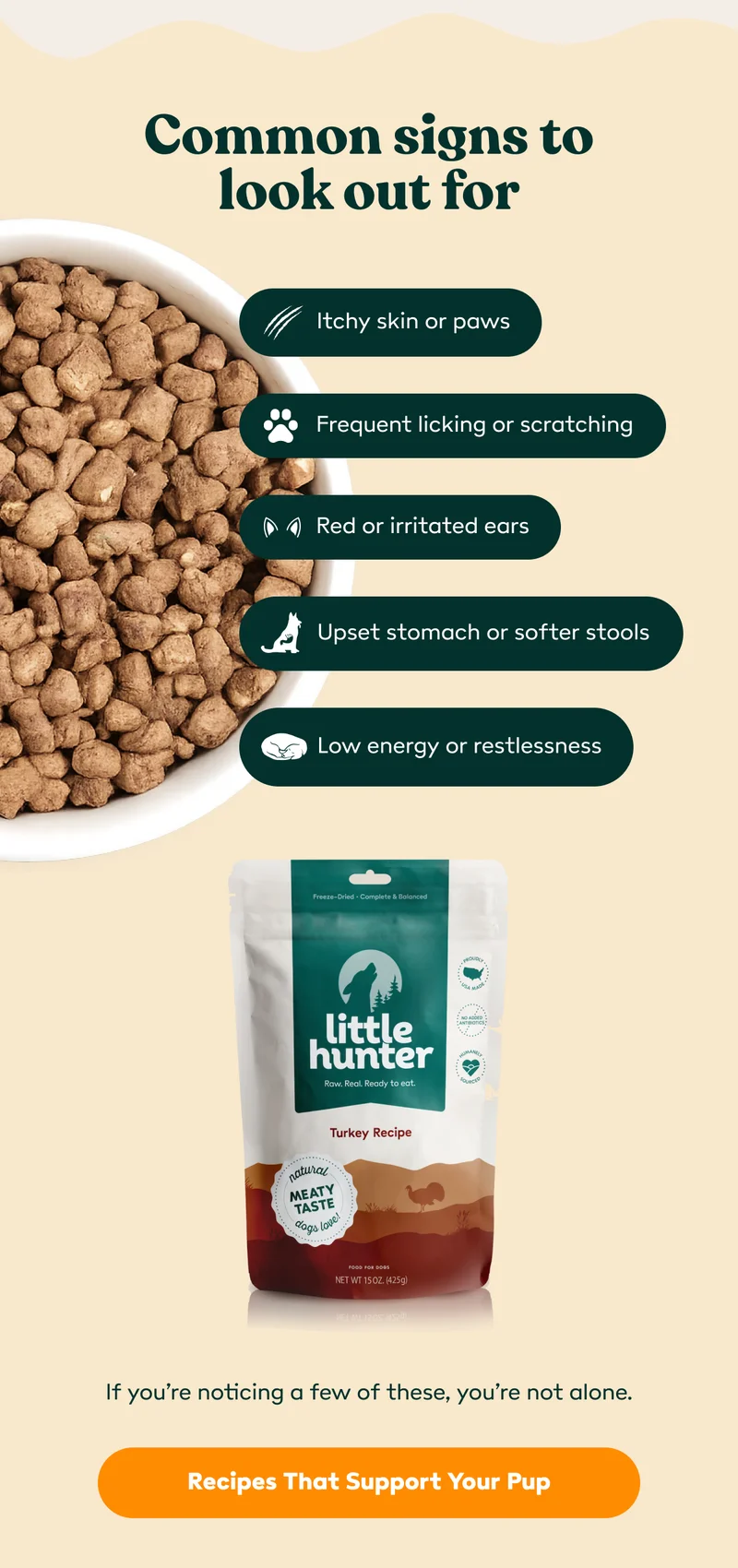 Recipes that support your pup!