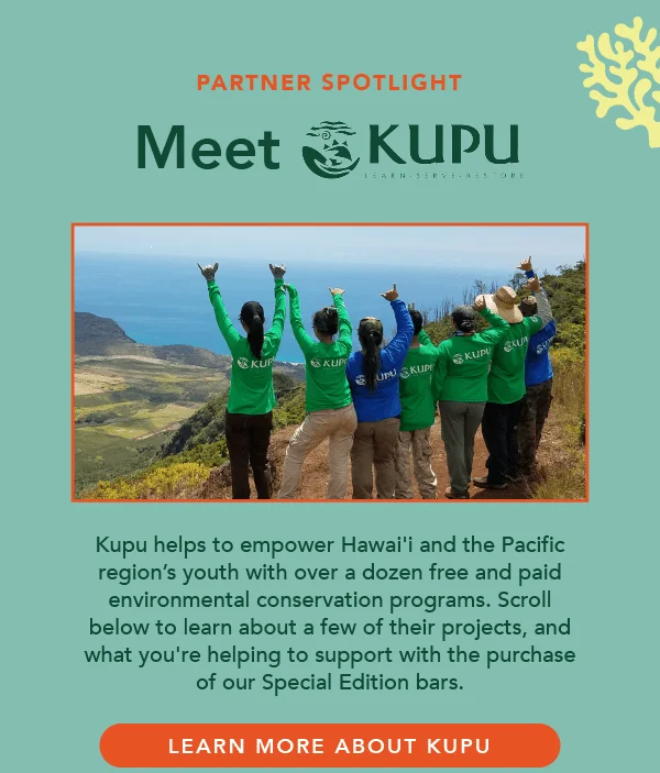Learn More About Kupu