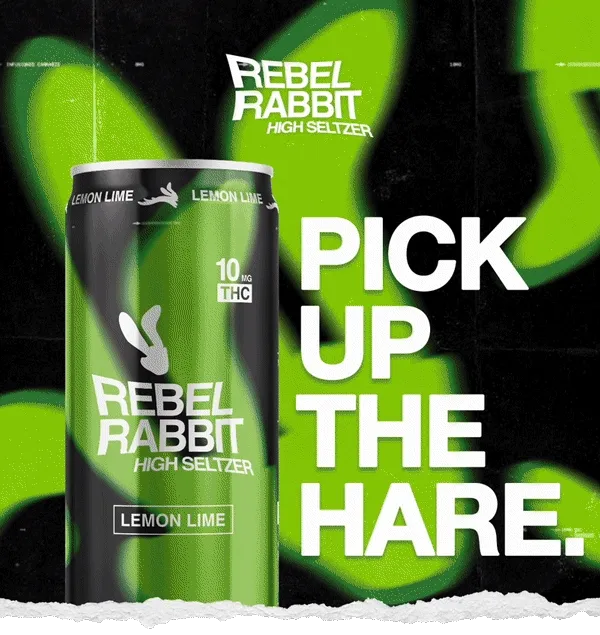 Rebel Rabbit: Put Down the Pen. Pick Up the Hare.