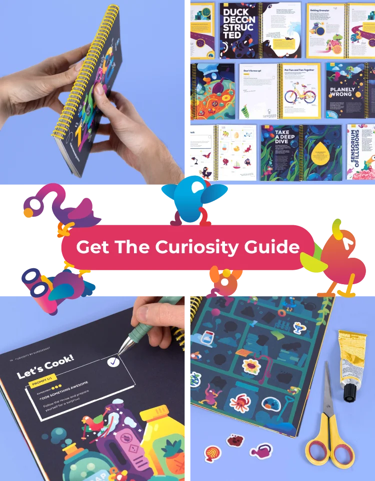 Get the Curiosity Guide!