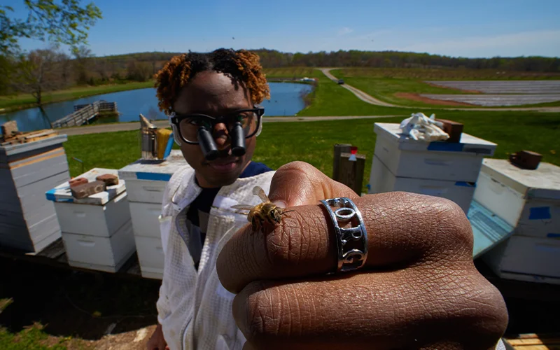 National Geographic Explorer Samuel Ramsey is an entomologist and National Geographic 2022 Wayfinder Awardee. Ramsey’s research on the decline of honey bees has taken him around the globe to better understand how pollinator pandemics start – and how they can be stopped.